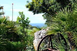 Property grounds - Exclusive Villa with Private Pool and Sea View in Castelsardo (Lu Bagnu)