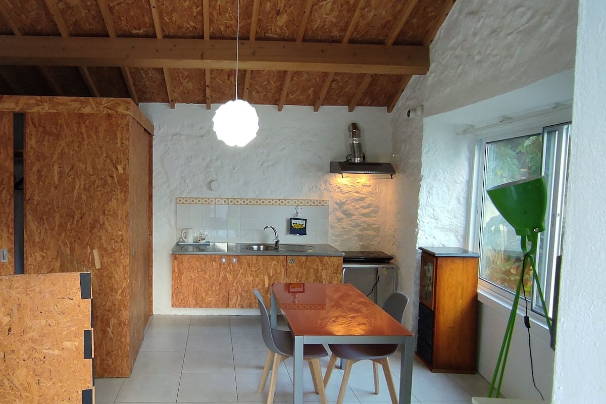 A compact kitchen with a wooden ceiling, a dining table, and a window with a plant.