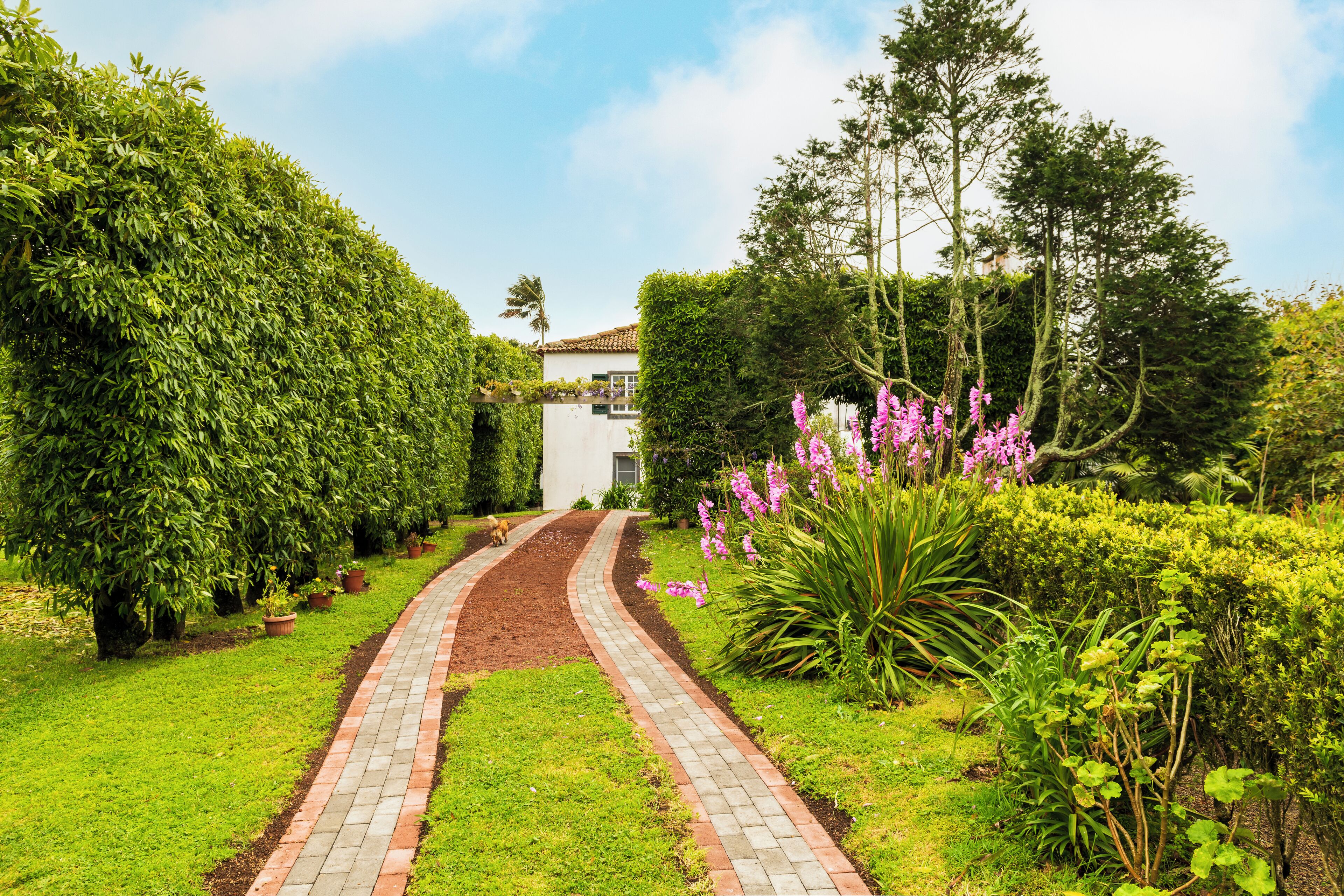 Photo - Quinta do Paraizo