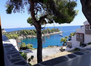 Vista desde la propiedad