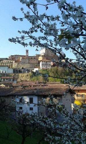 Exterior - B&B Casa Carolina (Castellinaldo)