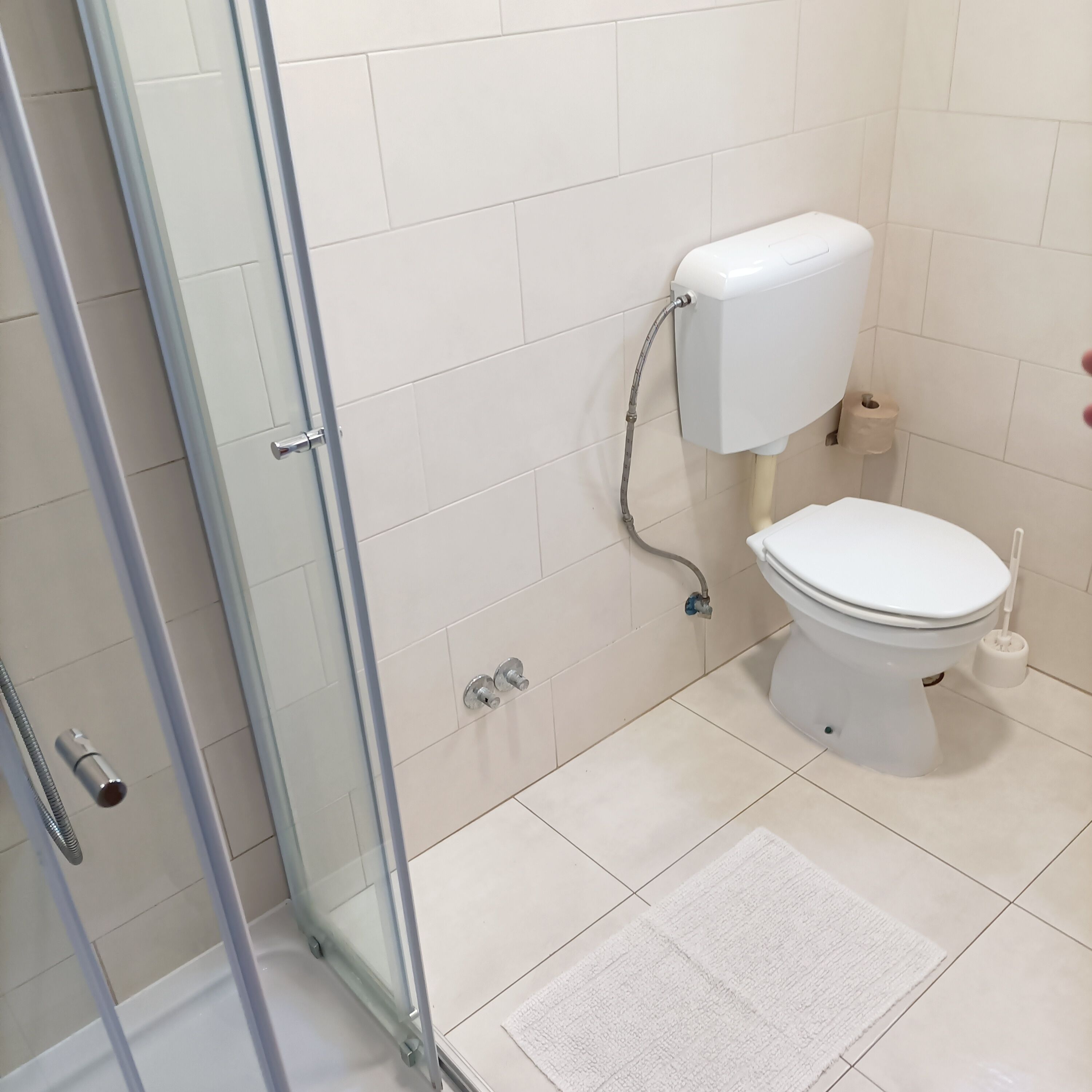 Een badkamer met toilet, douche en een douchecabine met glazen wanden.
