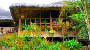 Une construction à toit de chaume dotée d’une terrasse en bois, entourée d’une végétation tropicale luxuriante.