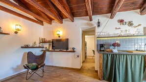 A cozy living room with a wooden ceiling, a TV, and a bar area with a green tablecloth. - Rustic holiday house DEPOPE with private pool (Skrpčići)