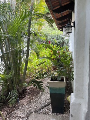 Property grounds - Casa Da'Vida In Playa Hermosa, Guanacaste, Costa Rica (Playa Hermosa)