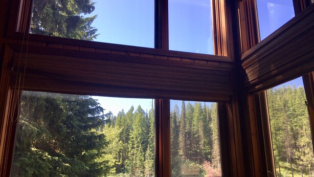 A room with large windows offering views of a dense forest.