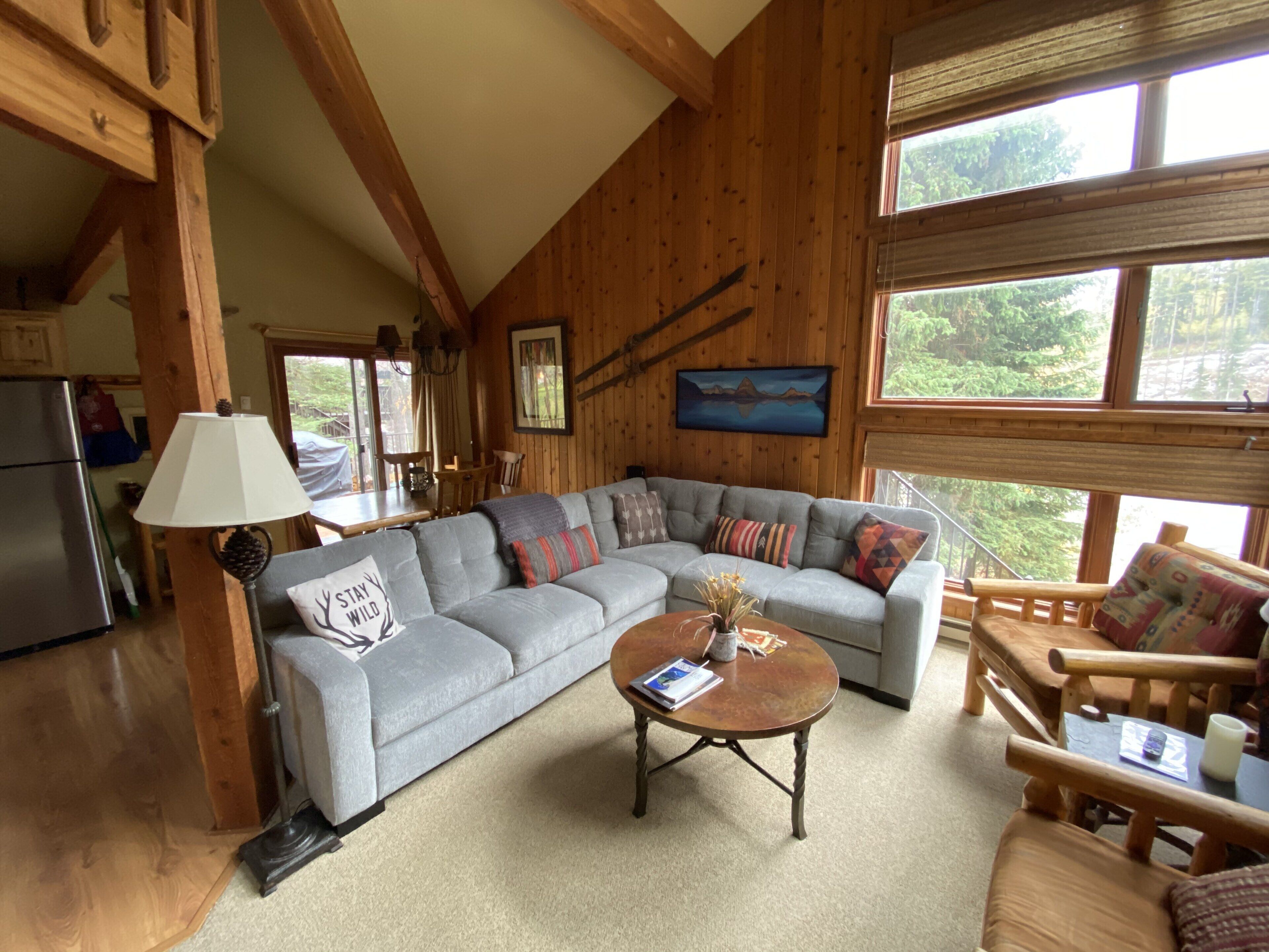 Smart TV, fireplace, DVD player, books