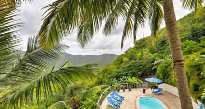 Breathtaking Panoramic Views of the British Virgin Islands from hot tub & pool!