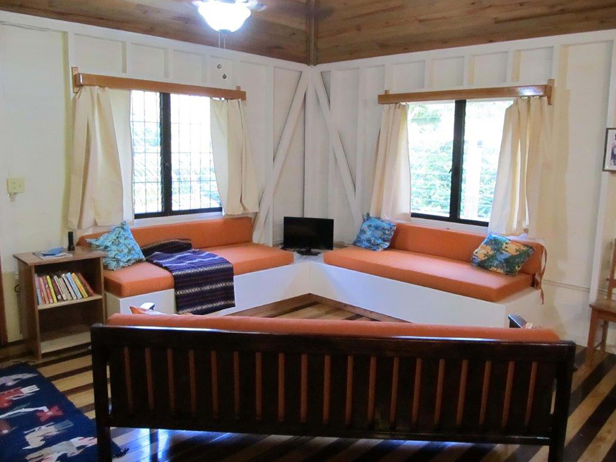 Televisión y libros 