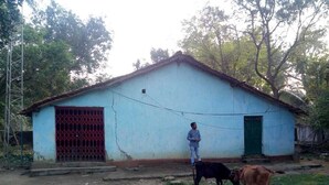 A person standing next to a building with a red gate and a cow in front. - Dandak Tribes Homestay and Tourism group! Bastar Homestay! (dantewada)