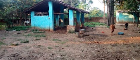 Enceinte de l’hébergement