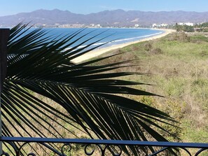 Property grounds - 5th Floor Wow views, BradAndJoeyRentals Closest to ocean - Villa La Estancia (Nuevo Vallarta)