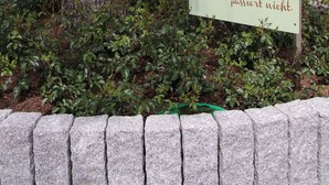 Ein Schild mit Baum und Haus im Hintergrund.