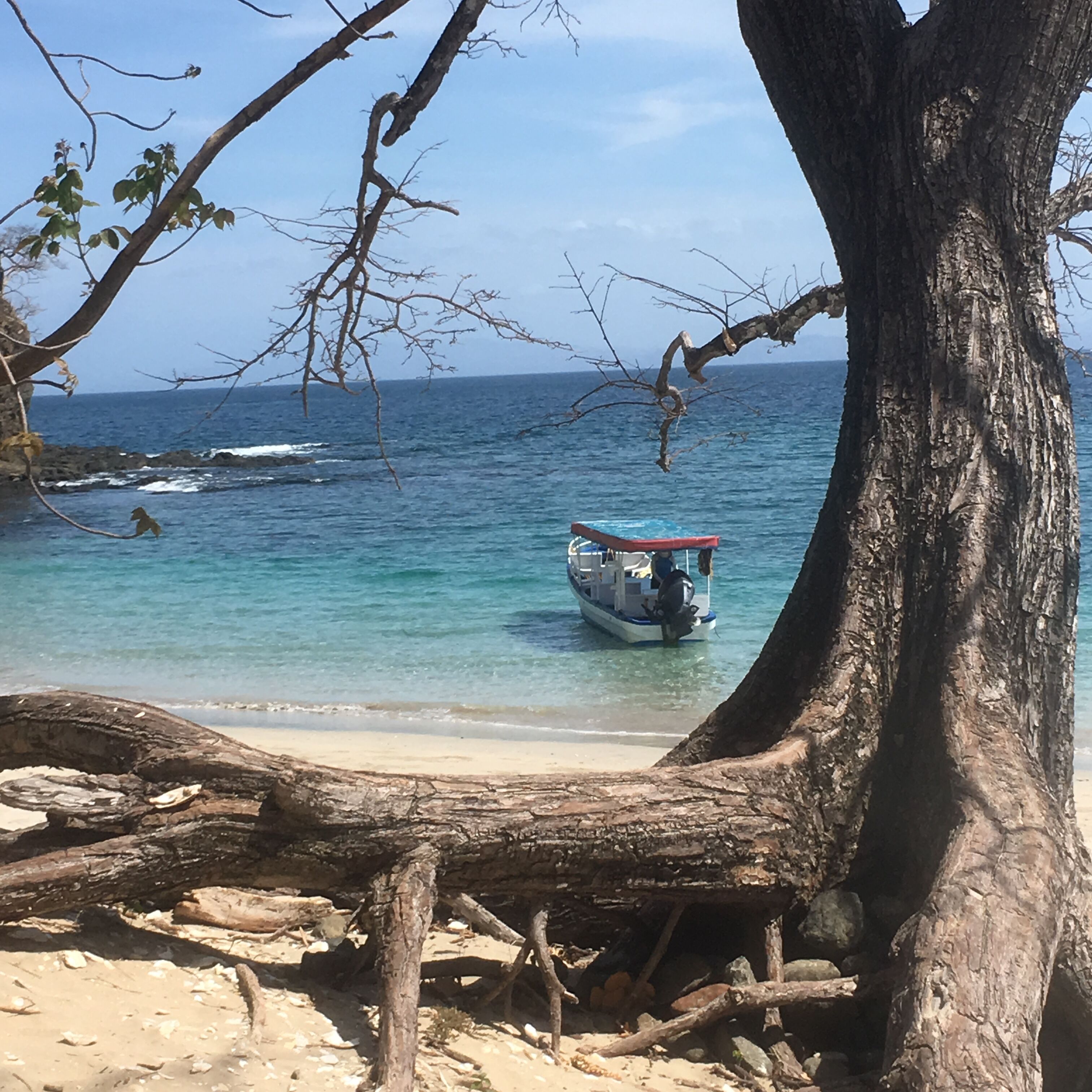 Sun loungers, beach towels
