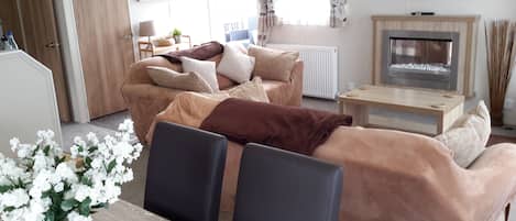 Smart TV, chimenea, reproductor de DVD y estéreo