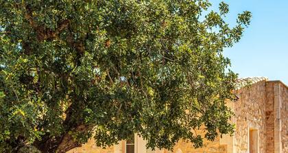 Finca Sa Bassa Serra. Maisons et Villas, Location de Vacances, Mallorca