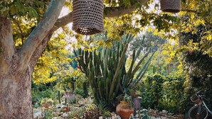Un área de comedor al aire libre con una mesa de madera rústica dispuesta para una comida, rodeada de un jardín con cactus y árboles.