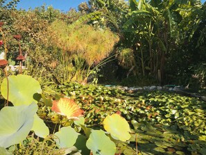 Jardines del alojamiento