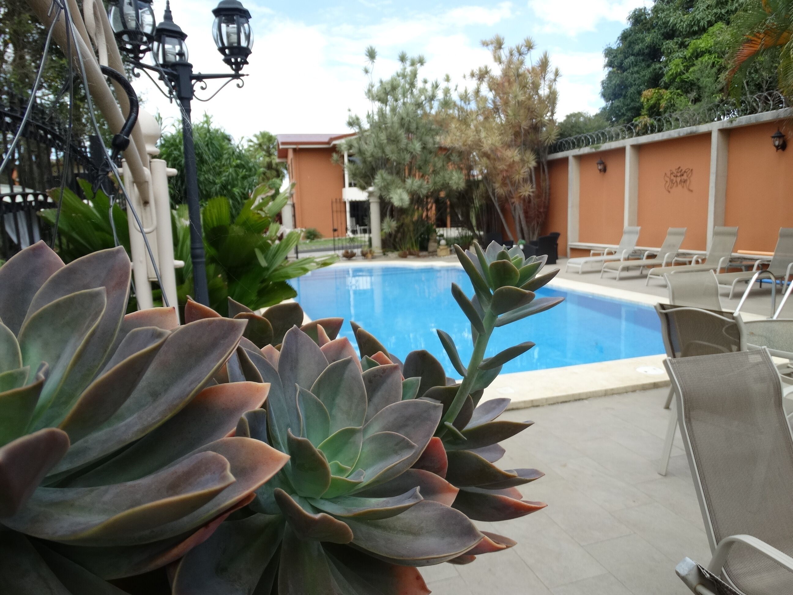 Piscina a l'aire lliure 