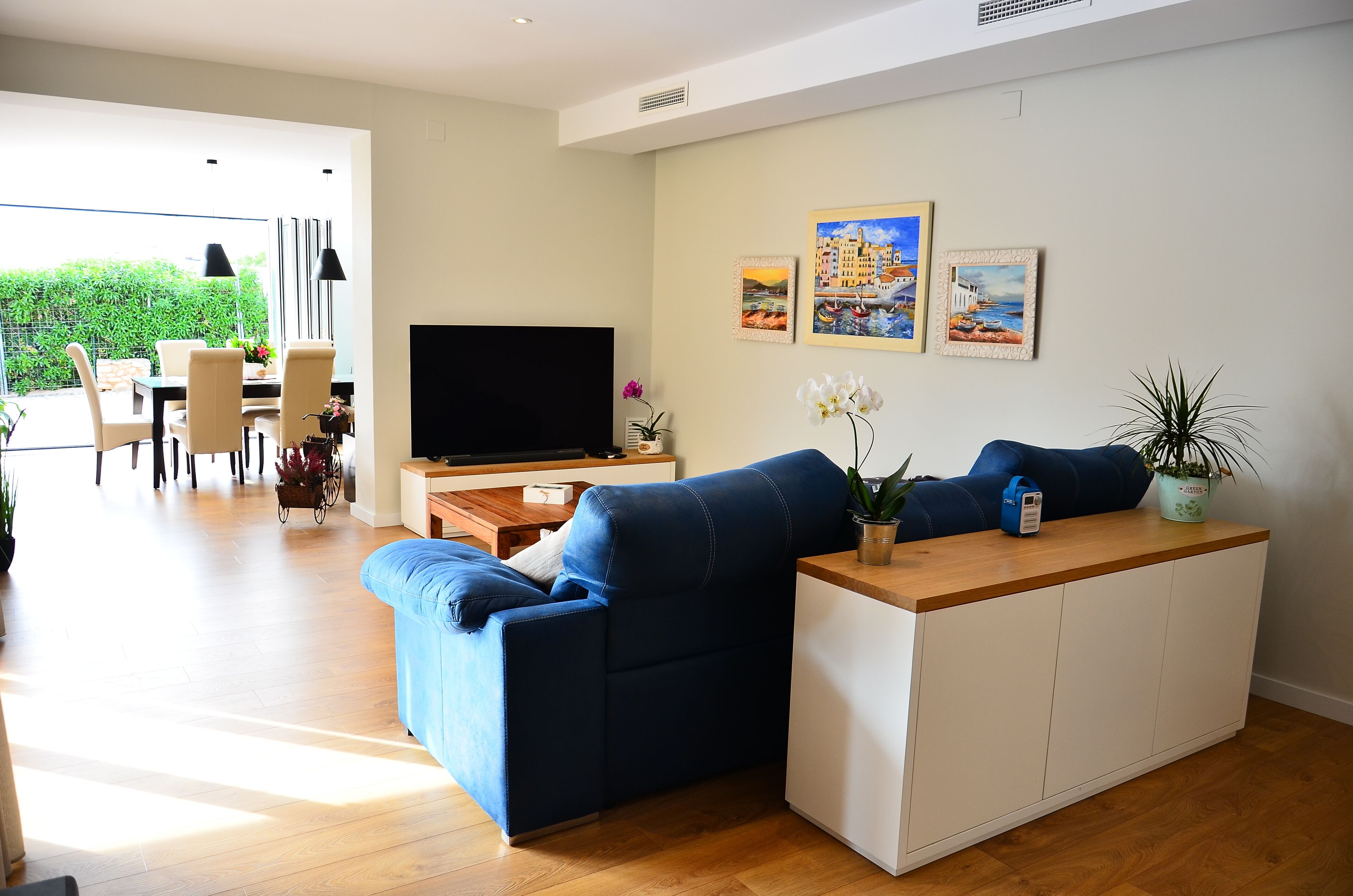 智能電視、書籍