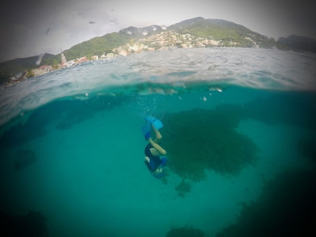 Pool. Your private sailboat at anchor among the turtles + diving option