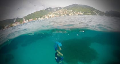 Catamarán para grupos pequeños con buceo, snorkel, remo y barbacoa a bordo.