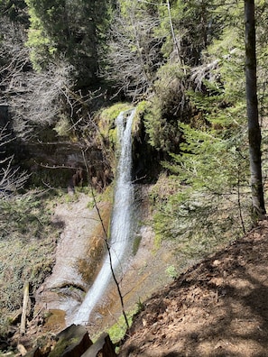 A waterfall in a forested area with a rocky path leading to it.