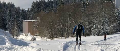 Snow and ski sports