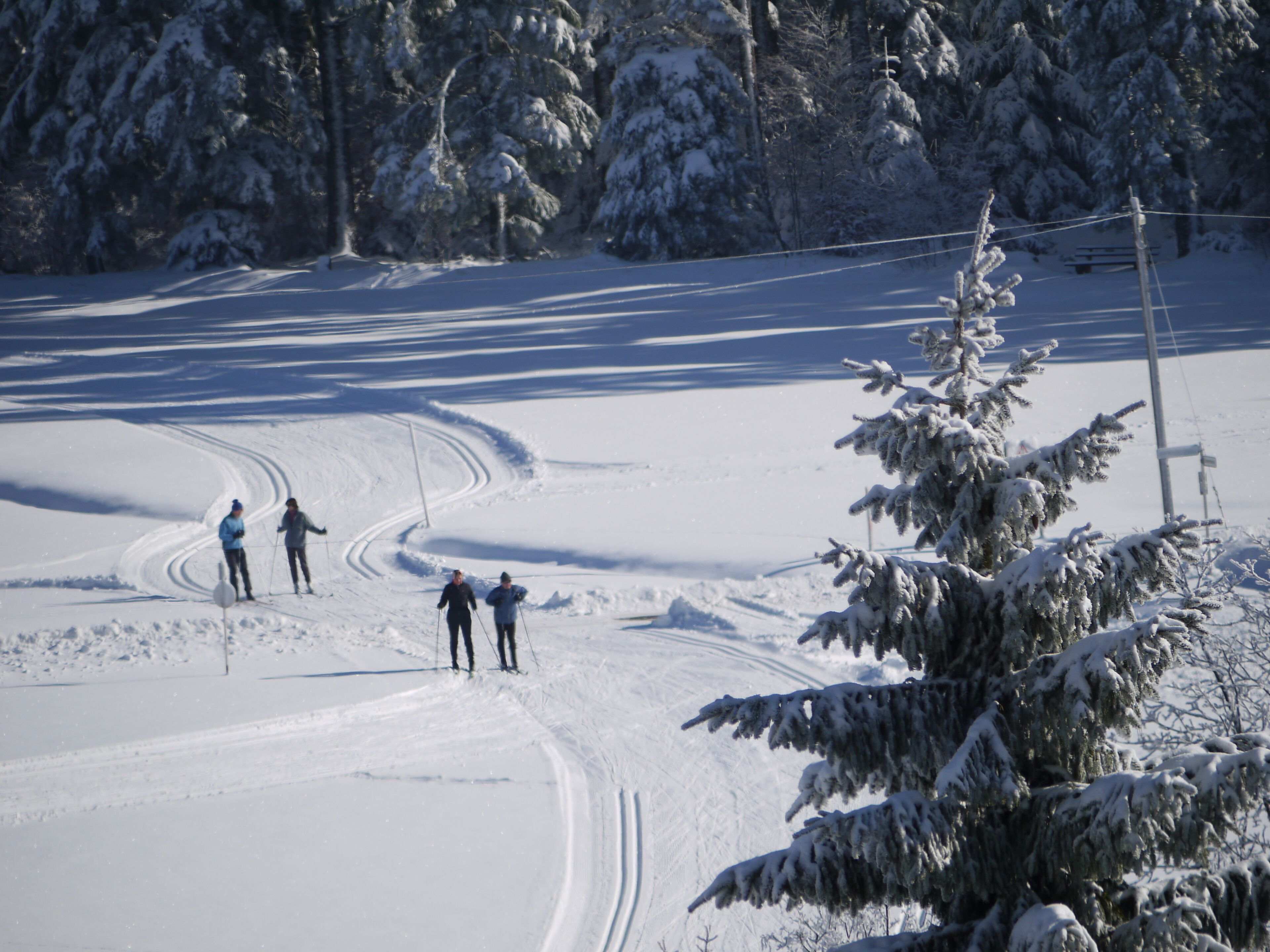 Snow and ski sports