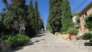 A stone staircase leading up a hill, flanked by tall trees and potted plants. - Villa Cana Cati Pollensa Town (Pollensa / Pollença)