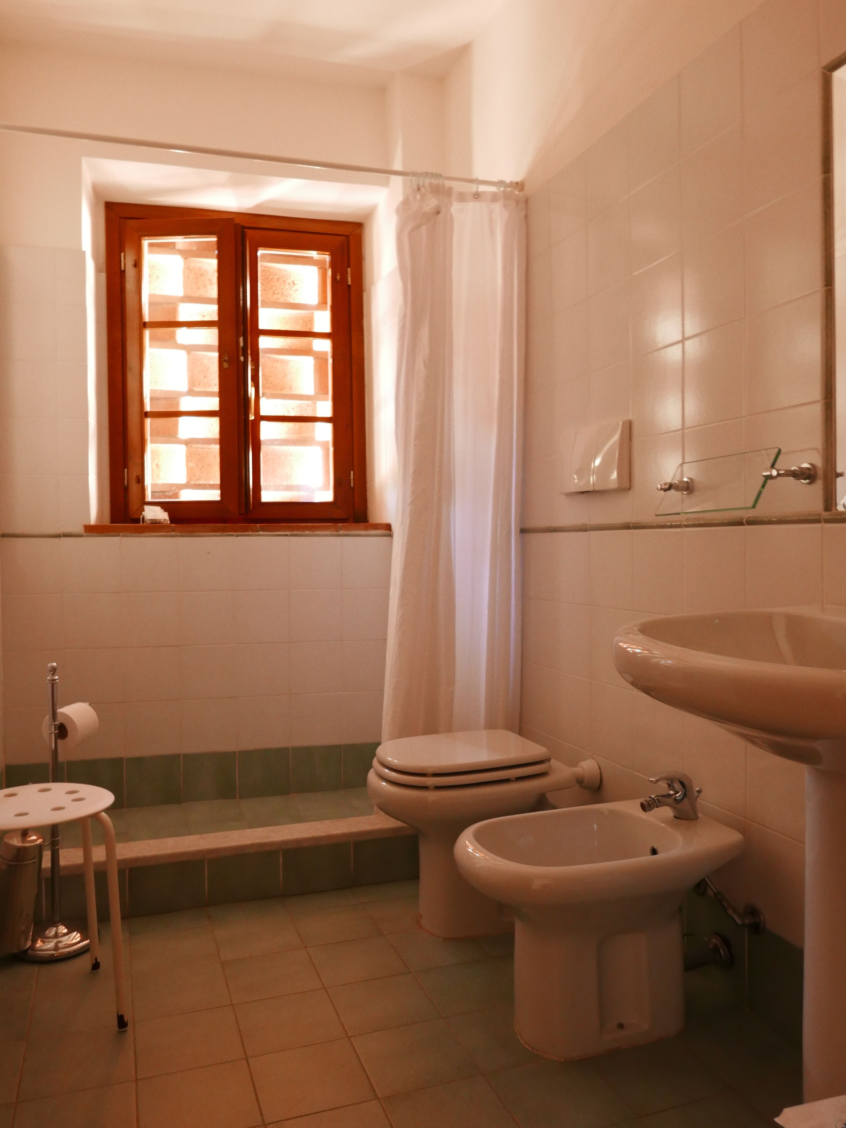 Shower, bidet, towels, soap