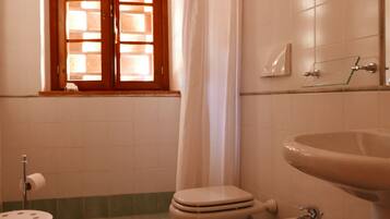 Shower, bidet, towels, soap