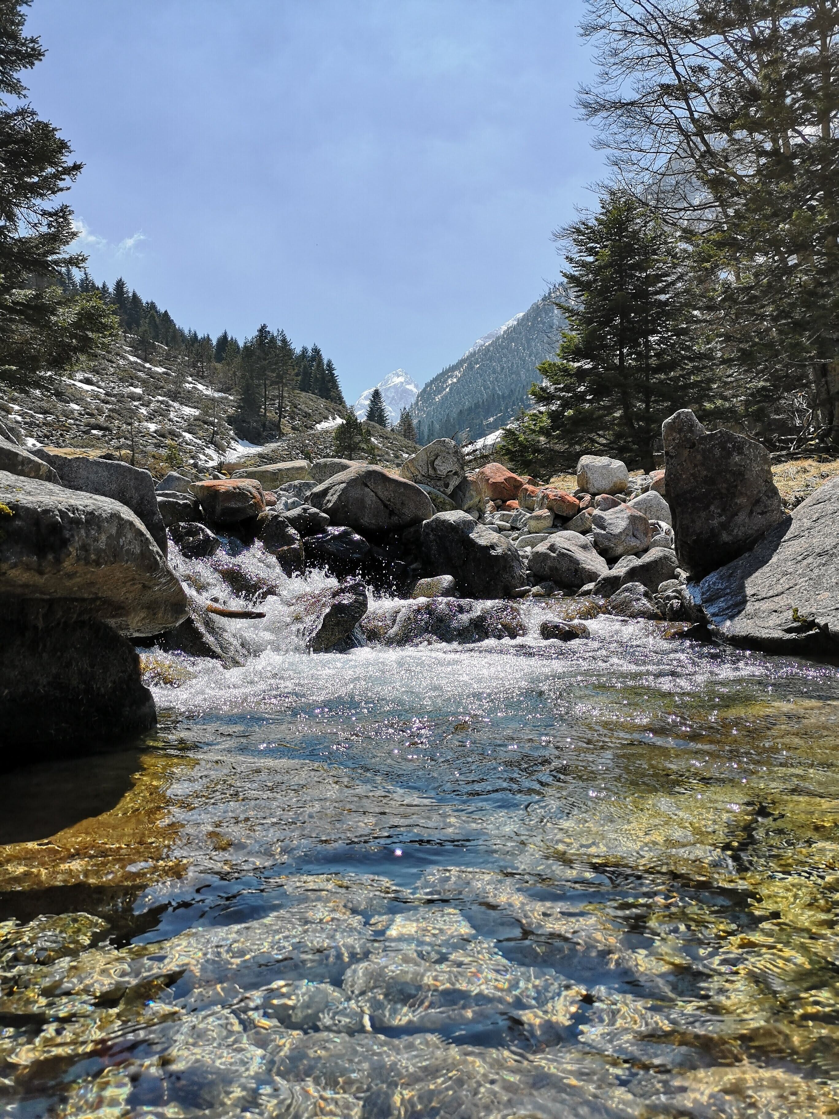 Un ruisseau de montagne aux eaux claires, avec des rochers et des arbres en arrière-plan.