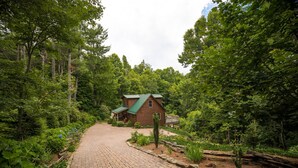 A rustic cabin surrounded by dense forest, accessible via a paved driveway.