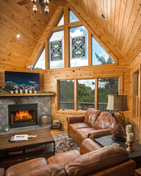 Smart TV, fireplace, DVD player, books