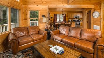 Smart TV, fireplace, DVD player, books