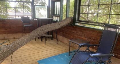 Treehouse Guesthouse: 3 BR Unique Home for 8 adults plus 400 sq ft Fun Treehouse