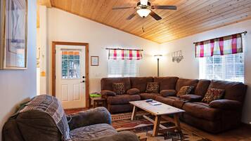 Televisión, chimenea y reproductor de DVD