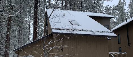 Una cabaña de madera con techo nevado, rodeada de altos pinos.