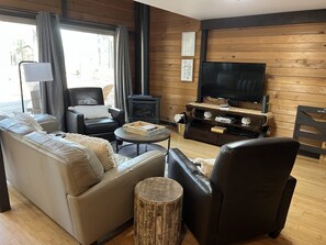 TV connectée, cheminée, lecteur de DVD, livres