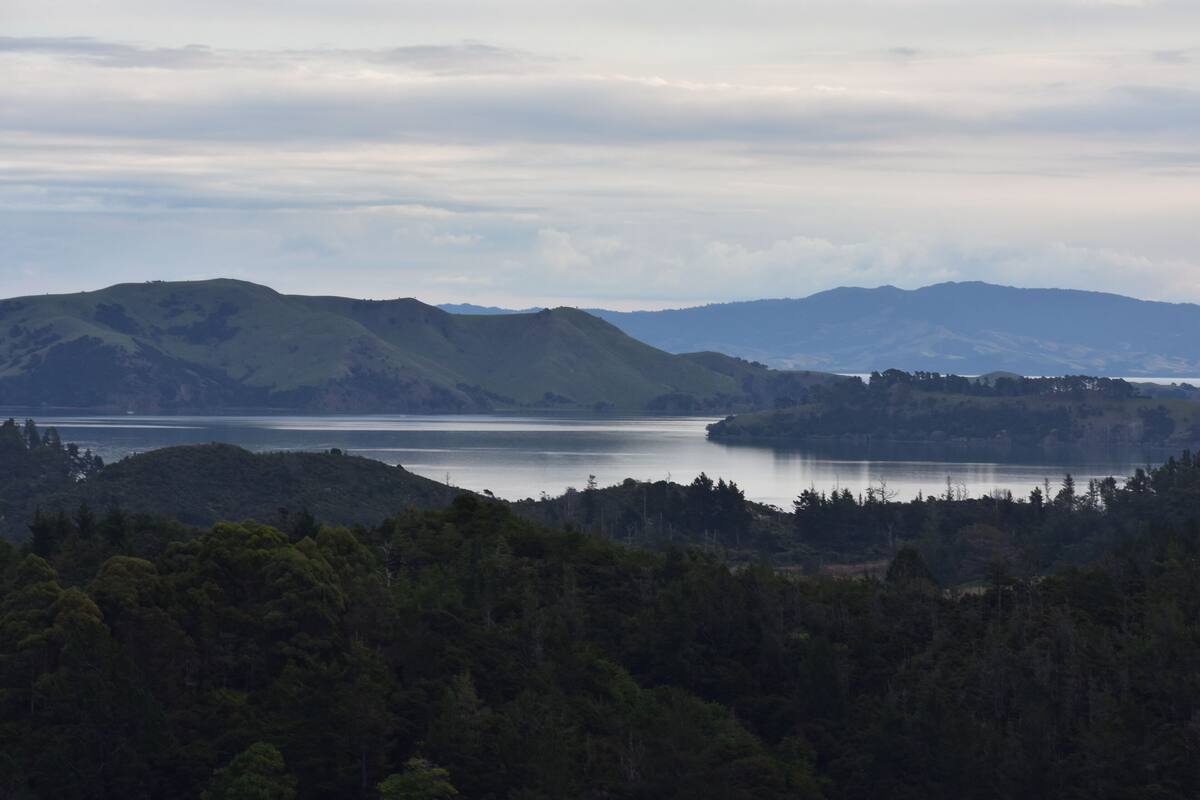 Ein Panoramablick auf einen See, umgeben von Hügeln und dichten Wäldern.