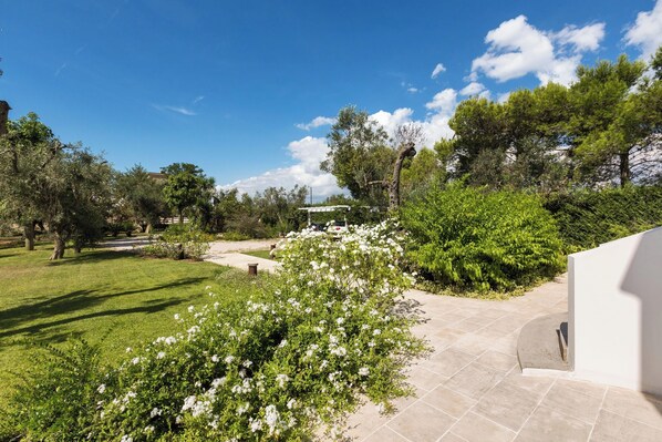 Property grounds - Villa Chiara by Perle di Puglia (Ruffano)