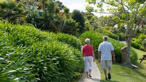 A pathway flanked by lush green hedges and trees, leading to a bench area. - Russell Top 10 Holiday Villas (Russell)