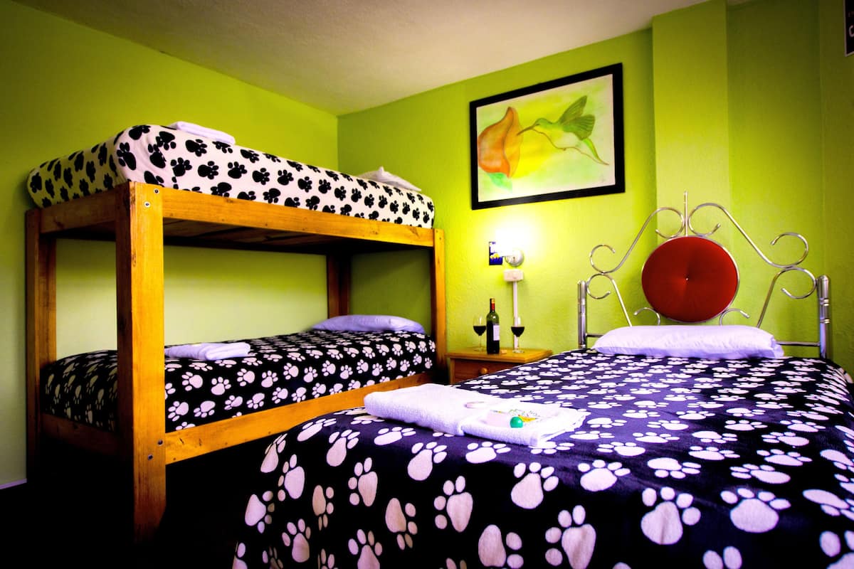 Une chambre avec deux lits superposés, une table de chevet avec une lampe et un tableau au mur.