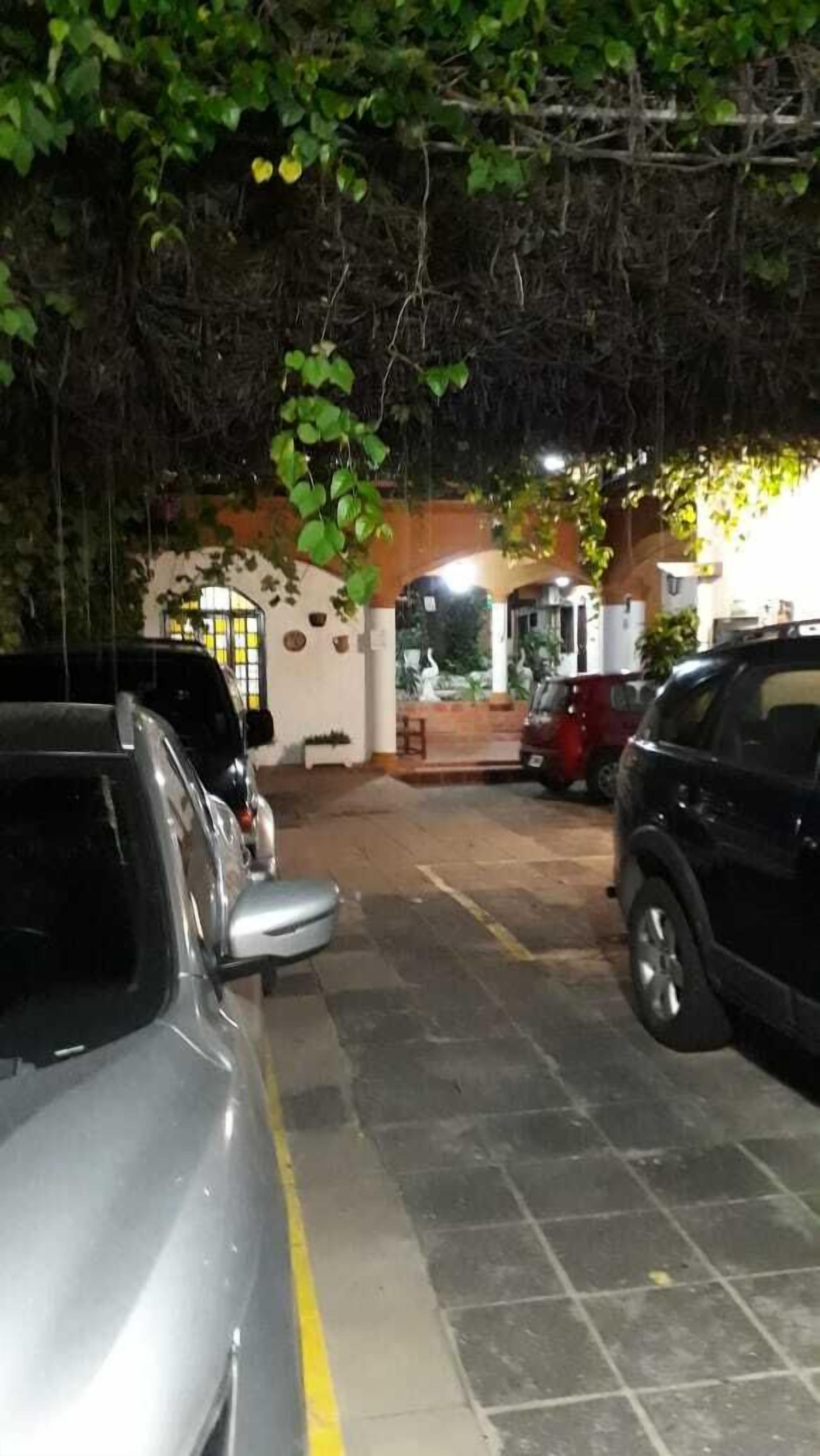 Un área de estacionamiento con coches aparcados bajo un árbol.