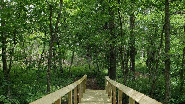 A wooden bridge with a rope railing in a forested area. - Lost Branch Lodge. Complete exterior remodel, spring 2026! (Brashear)