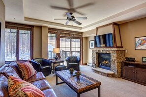 Smart TV, fireplace, DVD player, books