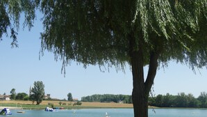 A lakeside view with a sandy beach, a large tree, and boats on the water.