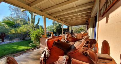 Centre Tucson : Belle demeure dans jardin paradisiaque piscine/spa privés 4CH4SB