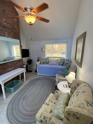 TV, fireplace, DVD player, books